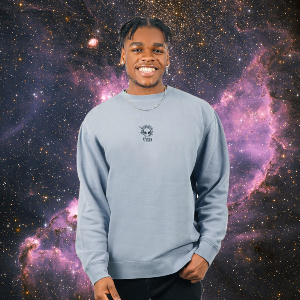 Pigment dyed crewneck deals