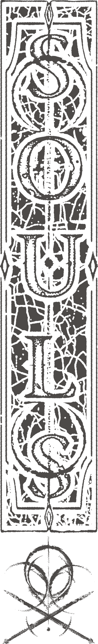 Ranni the Witch Long Sleeve Tee